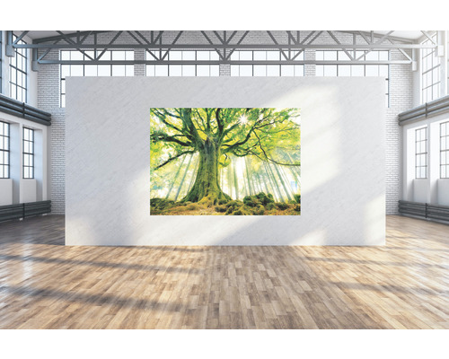 Toile murale Arbre vert 224x160 cm