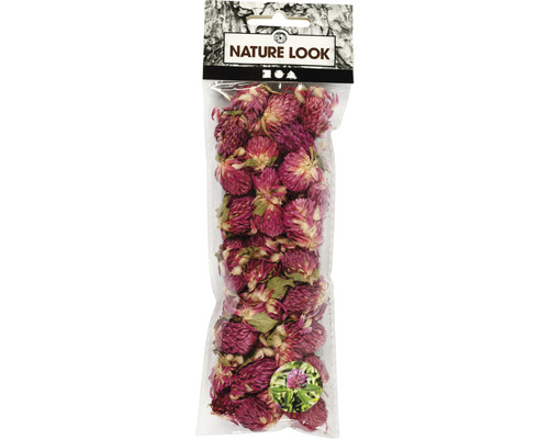 Fleurs séchées trèfle rouge lilas