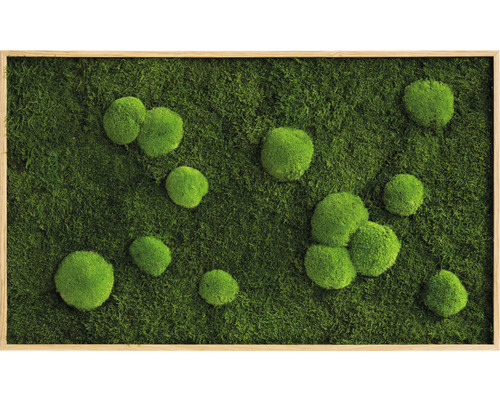 Tableau végétal forêt et mousse boule chêne 100x60 cm