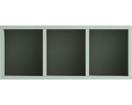 Armoire suspendue Möbelpartner Bjarne couleur de façade vert 60,2 x 24,7 x 21,5 cm