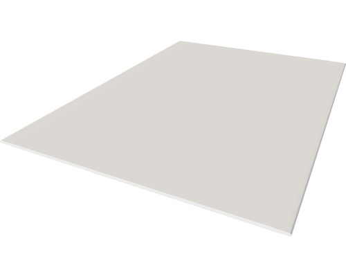 Plaque universelle plaque de plâtre Knauf panneau coupe-feu GKF 1500 x 1000 x 12,5 mm
