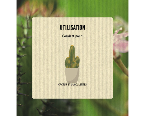 Bioflor Terreau pour cactus - 5 ltr - Pots et accessoires - Vente