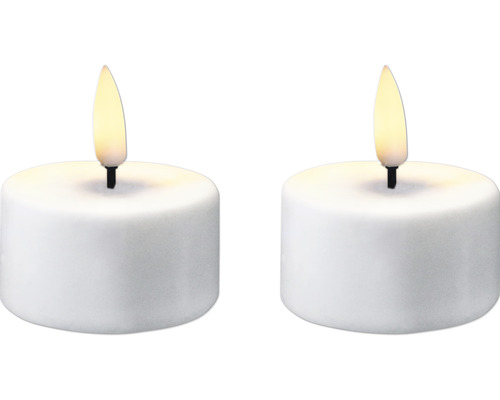 Bougies de chauffe-plat à LED Lafiora sur piles Ø 4 cm blanc chaud 20 pces  pile incluse - HORNBACH