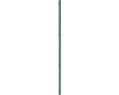 Poteau de clôture pour une hauteur de treillis de 125 cm, 175 cm, vert