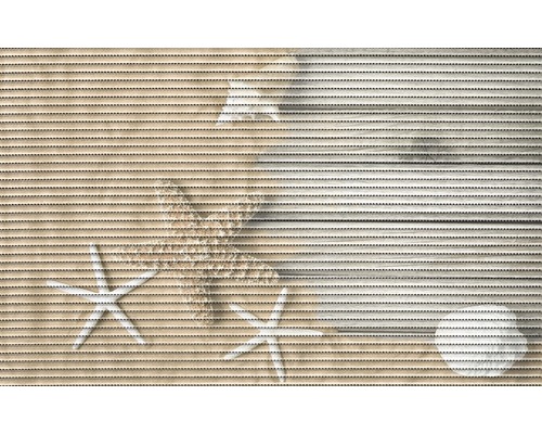 Universalmatte Starfish 50x80 cm