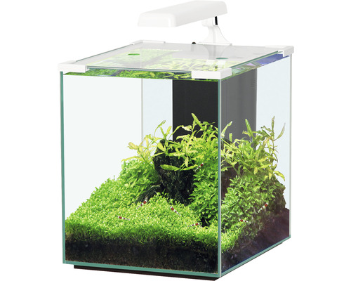 Aquarium aquatlantis Nano Cubic 30 mit Frostglasrückseite, LED-Beleuchtung,  Filter, Heizer, Pumpe weiß (ohne Schrank) - HORNBACH Luxemburg