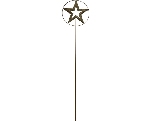 Tuteur de jardin en métal Lafiora étoile ronde h 115 cm