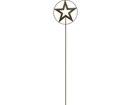 Tuteur de jardin en métal Lafiora étoile ronde h 90 cm