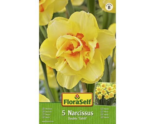 Bulbes FloraSelf narcisse Double 'Tahiti' jaune-rouge 5 pces - HORNBACH  Luxembourg