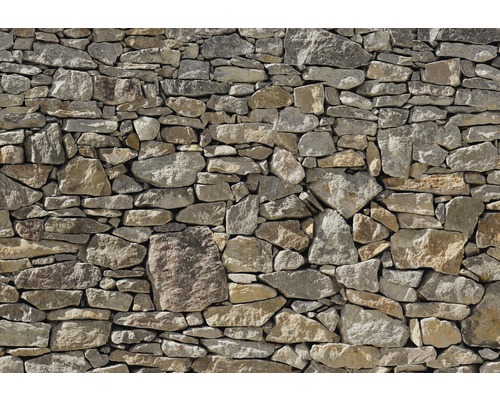 Fototapete VOL 15 Papier Stone Wall 368 x 254 cm