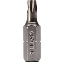 Embout acier inox Witte ¼" 25 mm Torx T 15-thumb-0
