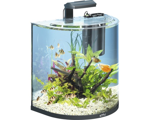 Aquarium Tetra AquaArt Explorer Line 60 l avec éclairage, chauffage, filtre sans meuble bas noir