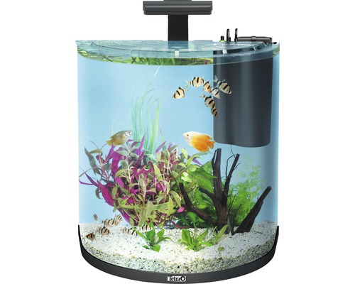 Tetra AquaArt LED Aquarium Komplett-Set, 30 Liter bestellen