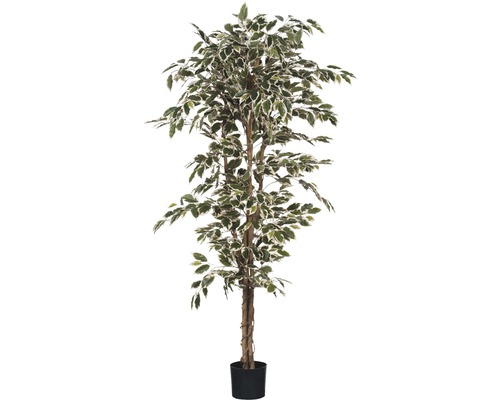 Plante artificielle Ficus Hawalli, vert