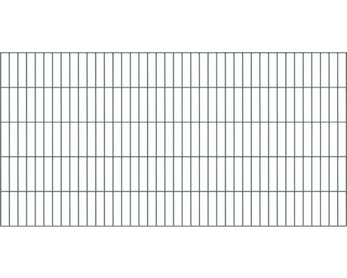 Panneau rigide double fil ALBERTS 6/5/6 200 x 80 cm vert