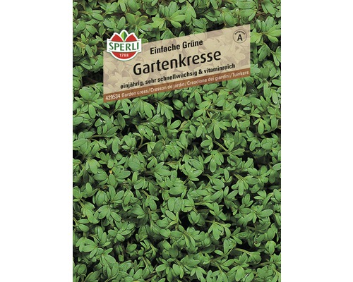 Cresson de jardin "Einfache Grüne" Semences de fines herbes