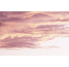 Alpina Feine Farben sans conservateur Wolken in Rosé 2,5 L-thumb-3