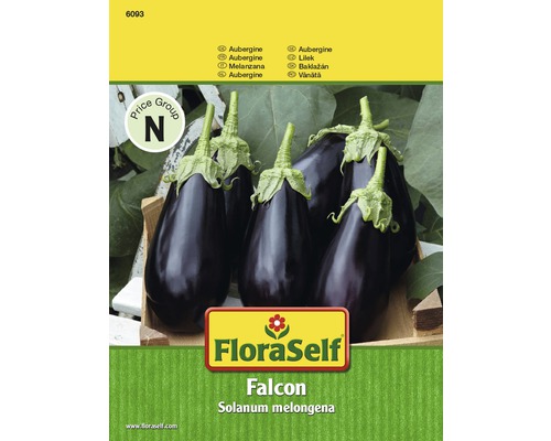 Aubergine 'Falcon' FloraSelf semences de légumes hybrides F1