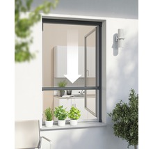 Store moustiquaire pour fenêtre PLUS anthracite sur mesure (max. 100x160 cm)-thumb-0