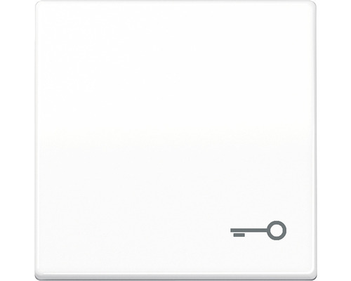 Bascule d'interrupteur avec symbole clé blanc alpin Jung AS 591 T WW AS500
