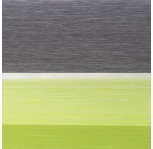 Store jour/ nuit à clipser Lichtblick sans percer gris-anthracite-vert 100x150 cm, supports de serrage compris-thumb-4
