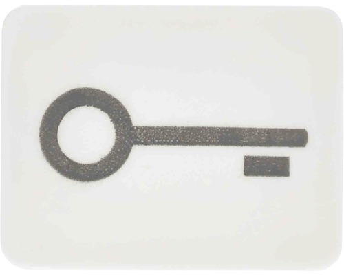 Symbole poussoir clé Jung WG800/WG600 33TWW blanc alpin