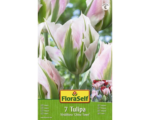 Bulbes FloraSelf tulipe Viridiflora 'China Town' rose 7 pces-0