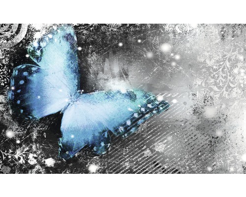 Papier peint panoramique intissé papillon bleu 416 x 254 cm-0
