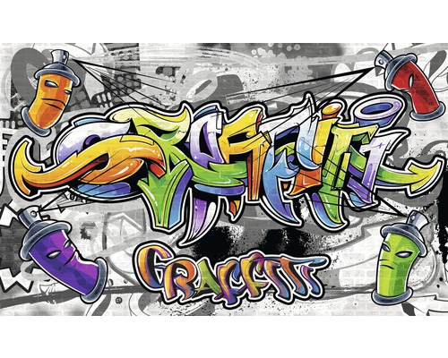 Papier peint photo intissé Street Graffiti 312 x 219 cm-0